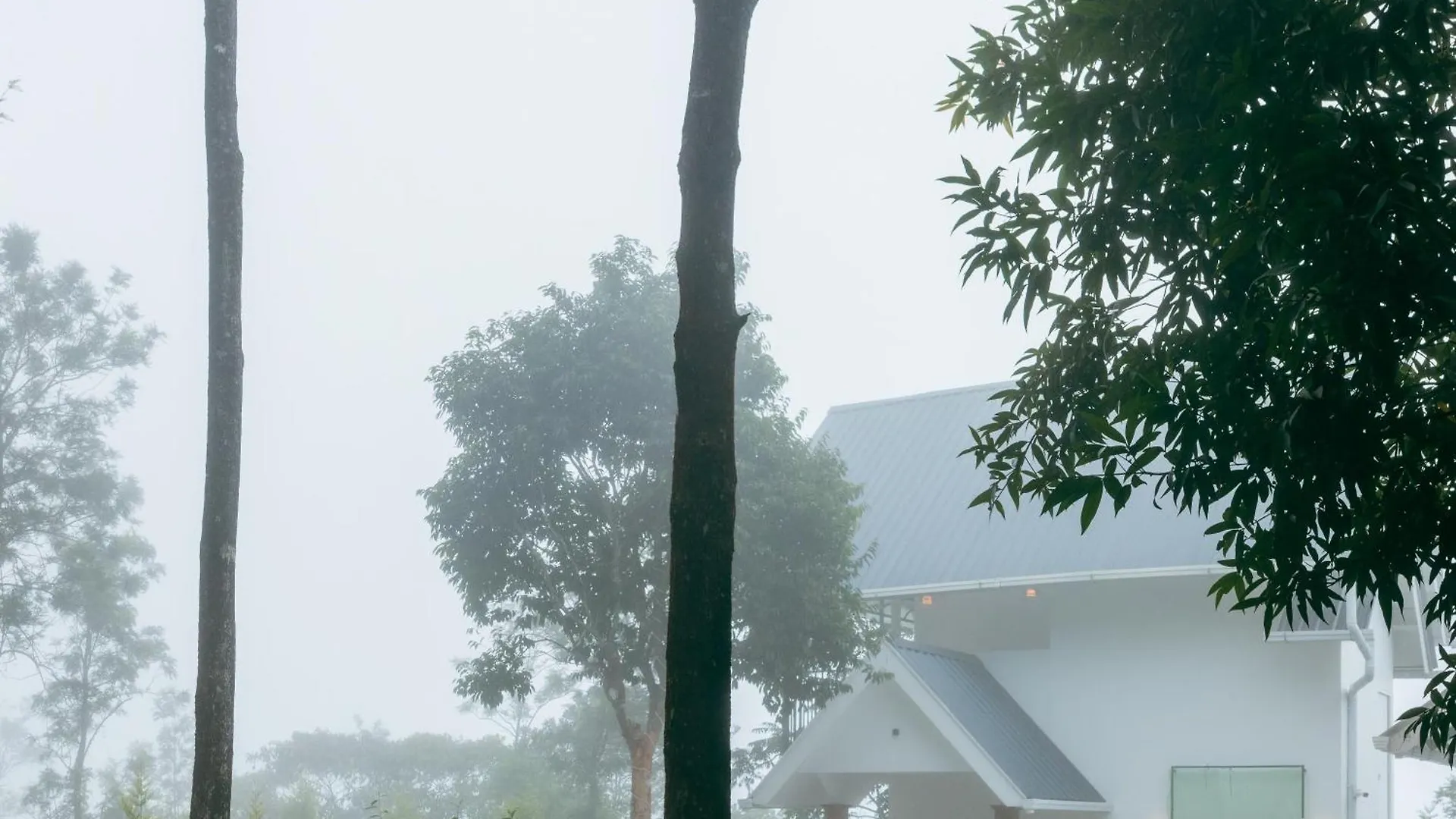 Udaya Hills Cottages Vagamon